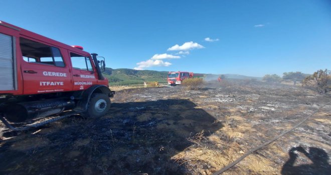 5 dönümlük otluk arazi küle döndü.....