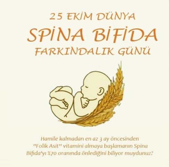 Folik Asit Ne Zamana Kadar Kullanilmali Melek Kadinlar Kulubu