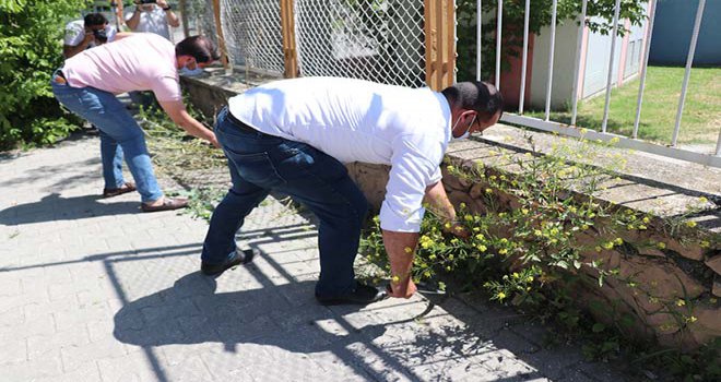 AK Partili gençler kaldırımlarda büyüyen otları temizledi