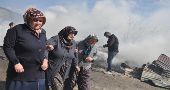 Alev alev yanan 3 ev ve 1 samanlık 5 saatlik çalışmanın ardından söndürüldü