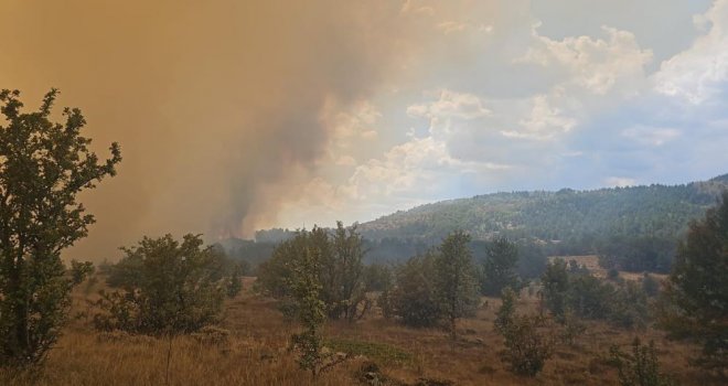 Ankara'da başlayan yangın Bolu'ya sıçradı....