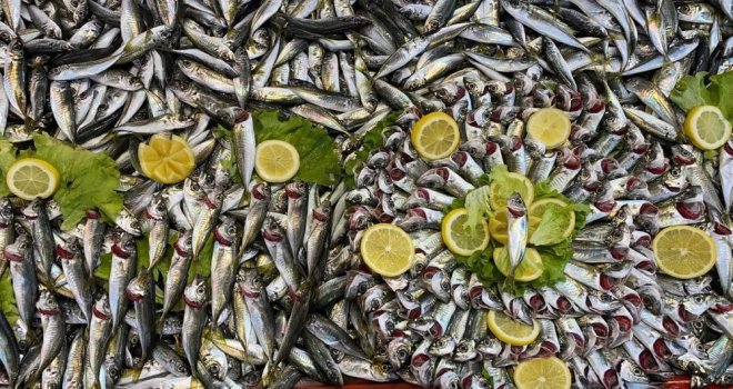 Balık tezgahlarında hamsi yok, vatandaş diğer balıklara yöneldi
