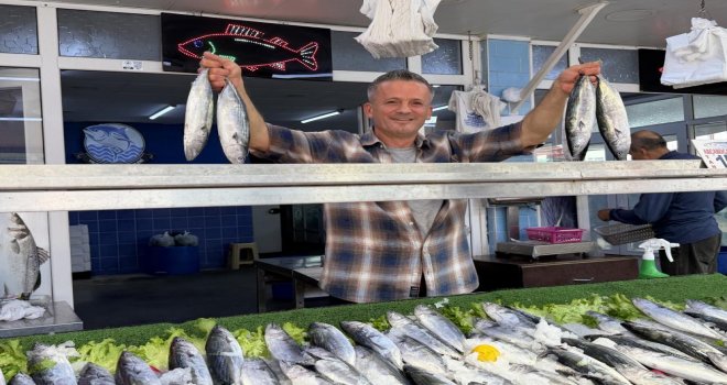 Balıkçıların yüzünü palamut bolluğu güldürdü......