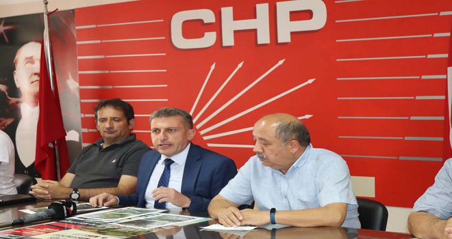 Başkan Türkoğlu; ‘Bolu’da ormanlar resmen katlediliyor’