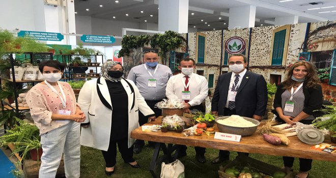 Başkent’te 3 gün boyunca Bolu rüzgarı esti