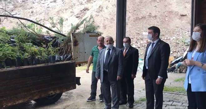 BOLU BELEDİYESİNDEN GÖYNÜK’E SÜS BİTKİSİ DESTEĞİ