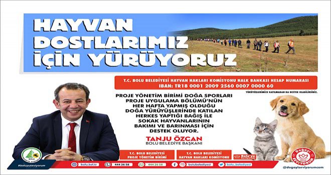 Bolu Belediyesi’nden sokak hayvanları için örnek proje