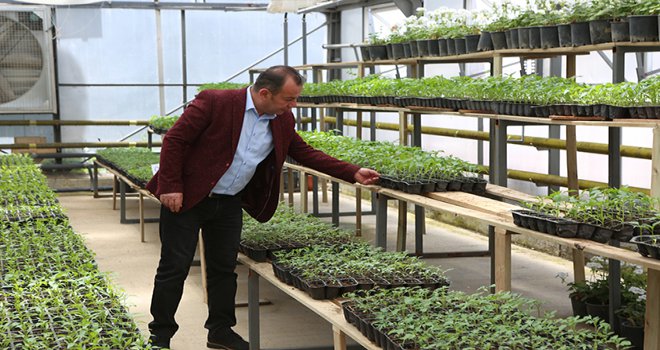 Bolu Belediyesi’nden ‘yerli fide’ hamlesi