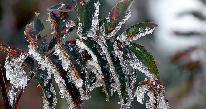 Bolu için zirai don uyarısı