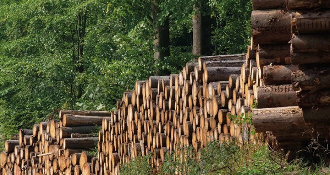 Bolu’da 1 milyon 401 bin 314 metreküp odun üretildi