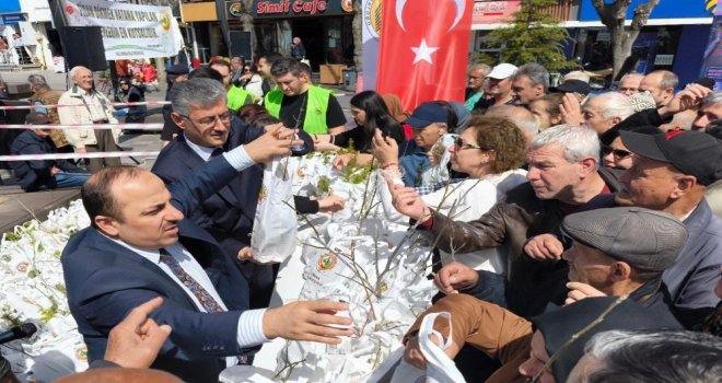 Bolu’da 20 bin fidan dağıtıldı....