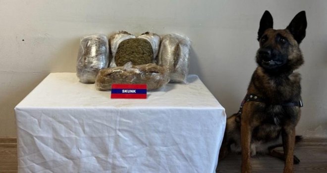 Bolu'da 5 kilo uyuşturucuyu narkotik köpeği ‘Bıçak’ yakaladı: 5 gözaltı