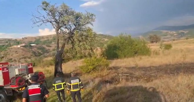 Bolu’da ağaca düşen yıldırım yangına sebep oldu….