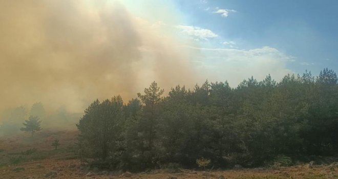 Bolu’da anız yangını ormana sıçradı: 2 helikopter sevk edildi