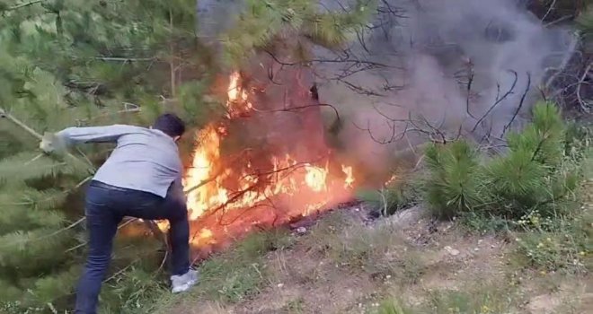 Bolu’da belirlenen alanlar dışında ormanlara giriş yasaklandı