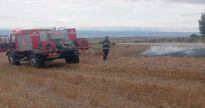 Bolu'da elektrik tellerine çarpan kuş yangına sebep oldu