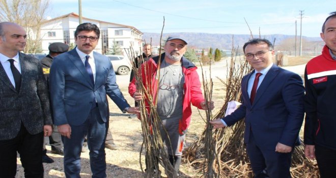 Bolu’da geleceğin fidanları yeşermeye devam edecek....