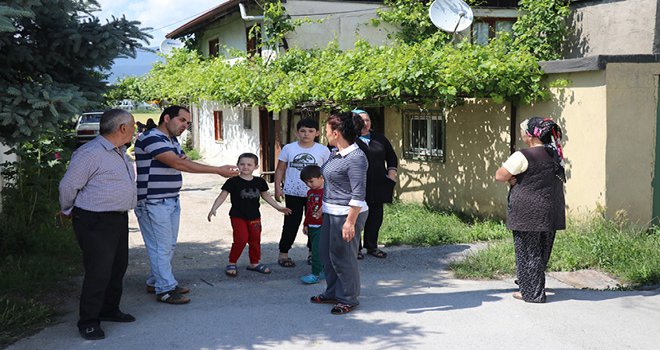 Bolu’da, girdikleri odunlukta doğum yapan tilkiler tavuk ve kedileri öldürdü