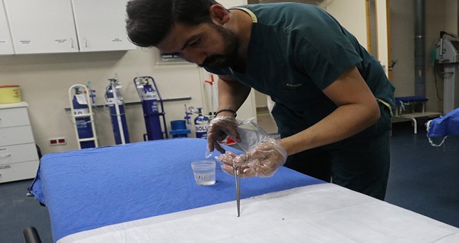 Bolu’da, ilk 5 ay içinde 281 kene tutulması yaşandı