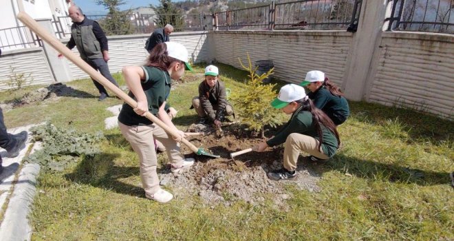 Bolu'da ilkokul öğrencileri fidan dikti......