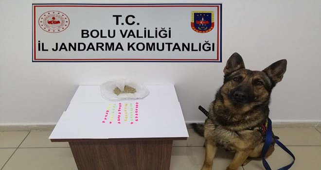 Bolu’da jandarmadan uyuşturucu operasyonu…..