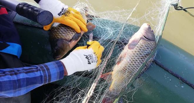 Bolu’da, kaçak avla mücadelede gölden 300 metre ağ çıkarıldı