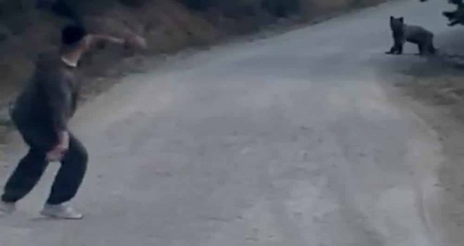 Bolu'da karşılarına çıkan ayıyı taşla kovaladılar.......