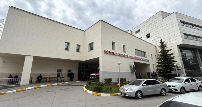 Bolu'da kene ısırması sonucu 77 yaşındaki kadın hayatını kaybetti