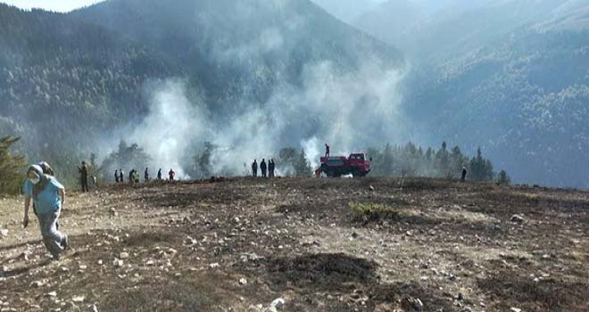 Bolu’da, orman yangını büyümeden söndürüldü....