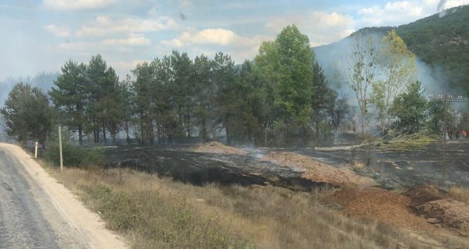 Bolu'da orman yangını çıktı.......