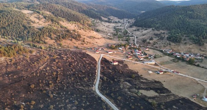 Bolu’da ormana sıçrayan yangın kontrol altına alındı: Yanan alan havadan görüntülendi