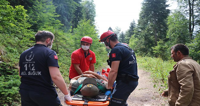 Bolu’da ormanda çalışırken 100 metreden düşen memur, operasyonla kurtarıldı