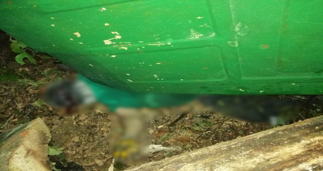 Bolu’da, ormanda çalışmaya giden baba ve oğlunu ölüm ayırdı