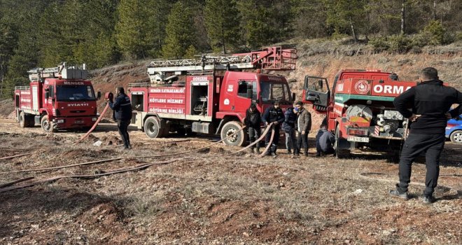 Bolu'da ormanlık alanda örtü yangını çıktı: 1 dönüm zarar gördü