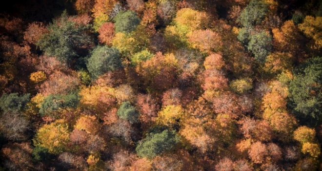 Bolu'da ormanlık alanlarda sonbahar güzelliği…....