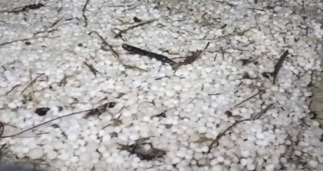 Bolu'da sabaha karşı yağan dolu yeşil alanları beyaza bürüdü