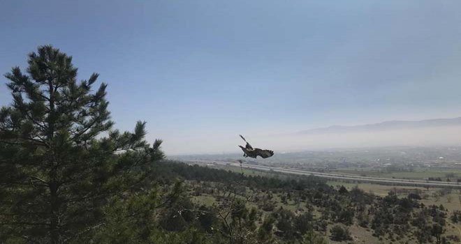 Bolu’da, tedavisi tamamlanan kızıl şahin doğaya salındı