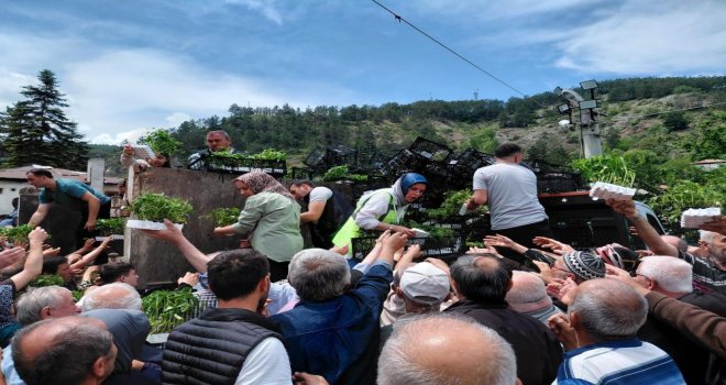 Bolu'da ücretsiz fide dağıtımına yoğun katılım…....