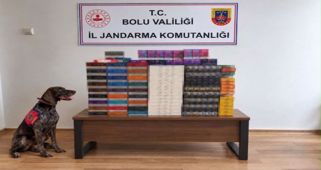 Bolu'da yolcu otobüslerinde kaçak tütün operasyonu: Piyasa değeri 760 bin TL