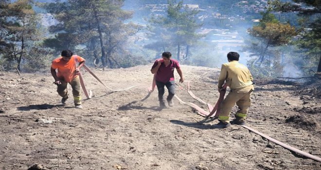 Bolu'daki orman yangını 72 saatin ardından kontrol altına alındı