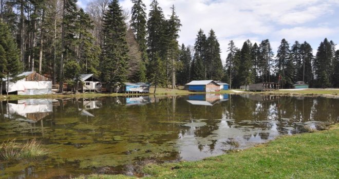 Bolu'nun doğa harikası yaylası ziyaretçilerini ağırlıyor........................