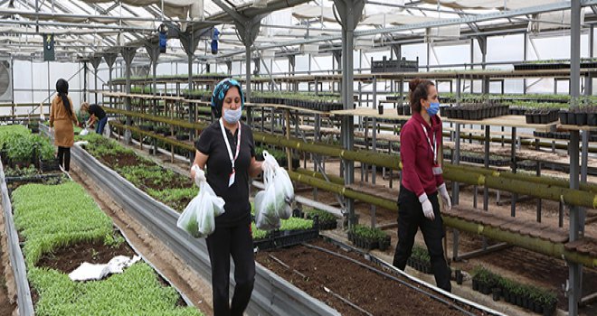 Çiftçilerin yaralarını Bolu Belediyesi sardı
