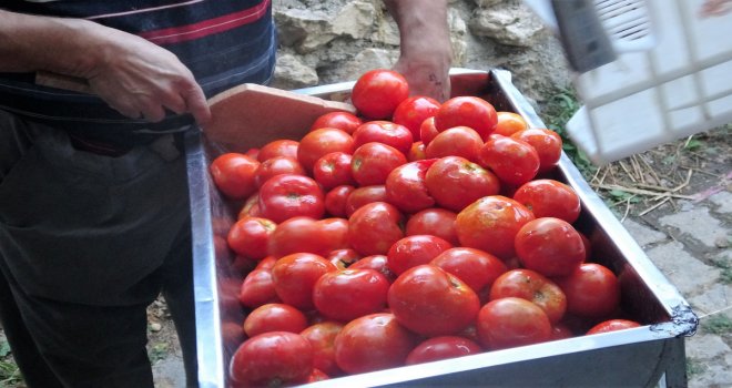 Domates fiyatlarının artması nedeniyle elde salça yapımının azaldığı belirtildi.