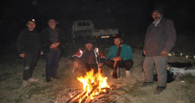 Domuz kabusu çiftçilerin uykularını kaçırıyor