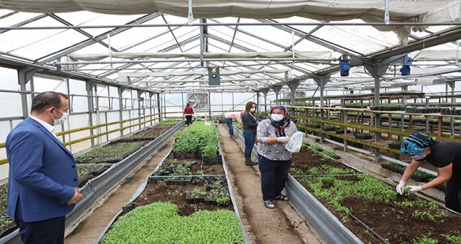 Don olayından zarar gören çiftçilerin yaraları sarılıyor