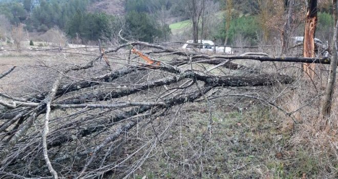 Fırtına ortalığı birbirine kattı, onlarca ağaç devrildi.......