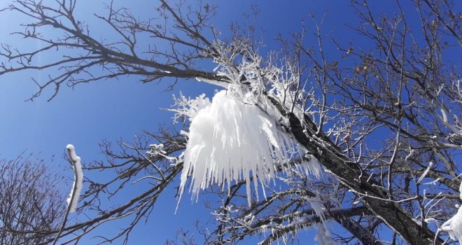 Hava sıcaklığı eksi 16’ya düştü, ağaç dalları böyle dondu.....