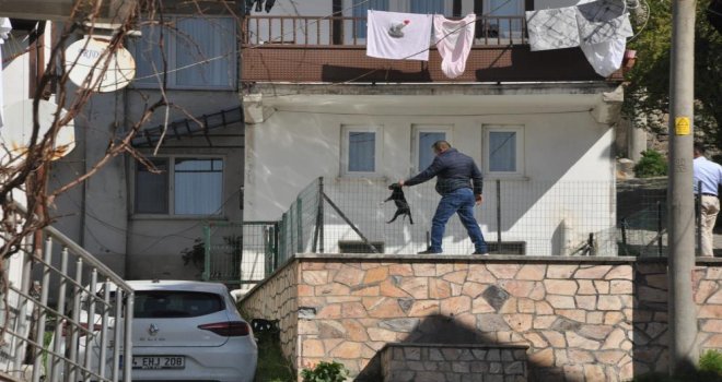 Havuzda boğulmak üzere olan yavru köpeği vatandaşlar kurtardı......