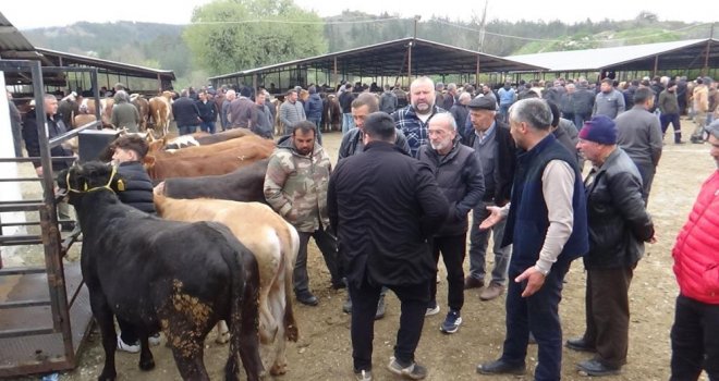 Hayvan pazarının en küçük celepçisi kurbanlık satıyor