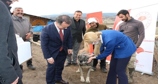 İl Tarım ve Orman Müdürlüğü Parazite karşı savaş açtı 
